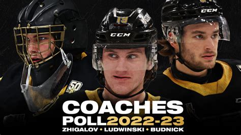 2022-23 OHL Coaches Poll: Ludwinski, Budnick and Zhigalov – Kingston ...