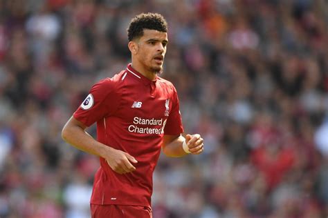 Liverpool transfer news: Dominic Solanke set to reject Brighton ...