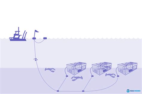 Fishing Gear: Traps and Pots | NOAA Fisheries