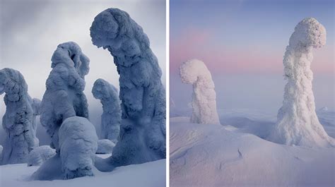 The Frozen Forests of Northern Finland: A Surreal Winter Wonderland