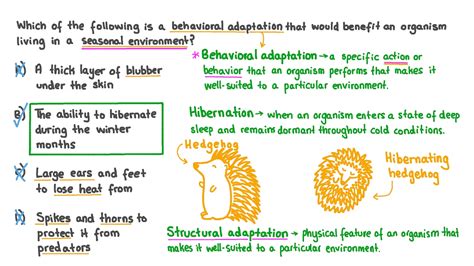 Question Video: Identifying Behavioral Adaptations Related to Seasonal ...