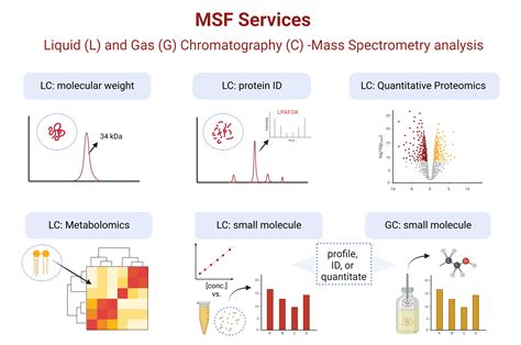 Mass Spectrometry Facility | Advanced Analysis Centre