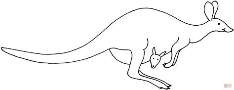 Hopping Kangaroo coloring page | Free Printable Coloring Pages