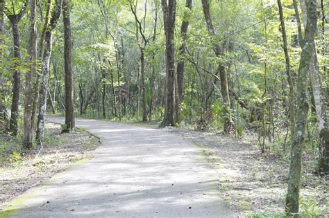 Black Creek Trail may be extended to NAS Jax | Clay Today