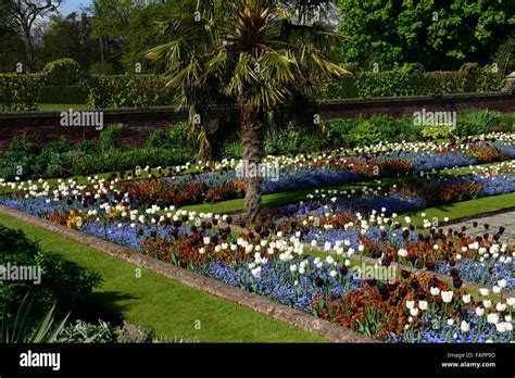 Kensington Palace Gardens sunken garden spring flowers tulips ersyimum ...