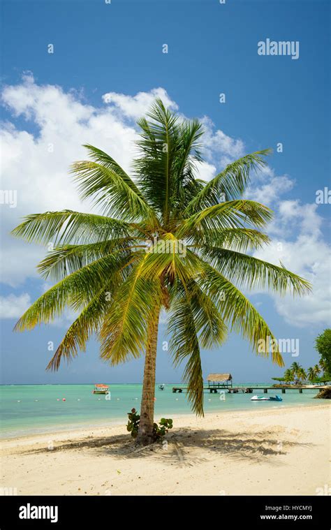 Pigeon Point Heritage Park on Tobago island, Trinidad & Tobago Stock Photo - Alamy