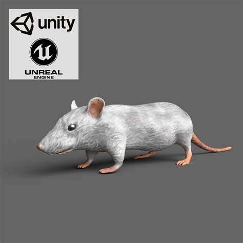 Low -Poly White Mouse - VR AR 3D model | CGTrader