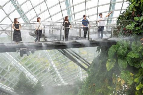 Gardens By The Bay’s Cloud Forest Reopens To Public On 6 August