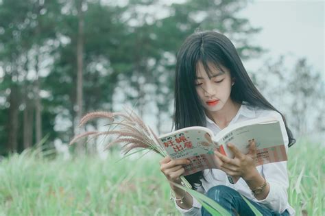 Woman Reading Book · Free Stock Photo