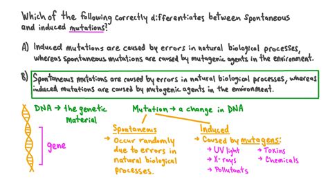 Question Video: Contrasting Spontaneous and Induced Mutations | Nagwa