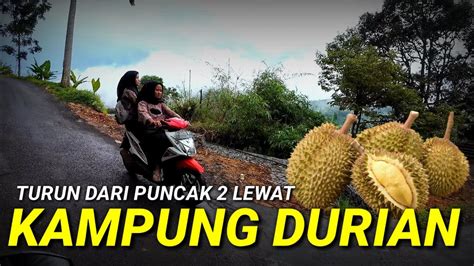 BALIK PUNCAK 2 LEWAT PENGHASIL DURIAN MELIMPAH - YouTube