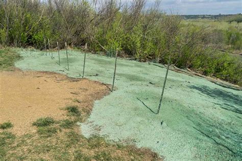 Hydroseeding: What It Is and How It's Beneficial