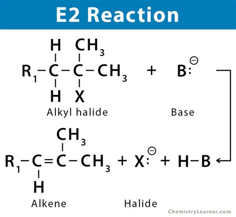 E2 Reaction: Definition, Examples, and Mechanism