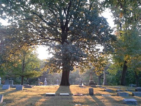 Home - Woodland Cemetery & Arboretum