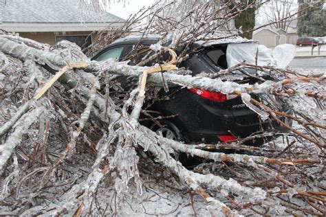 Photos: Ice storm knocks out power in SW Minn. | MPR News