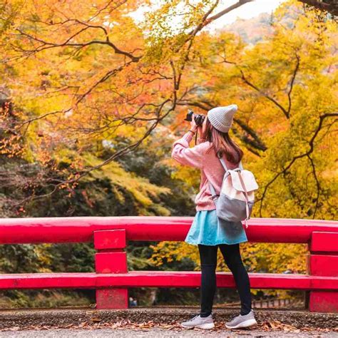 Admiring Autumn Foliage in Japan in 2023: A Memorable Journey - Direct Flights Tours