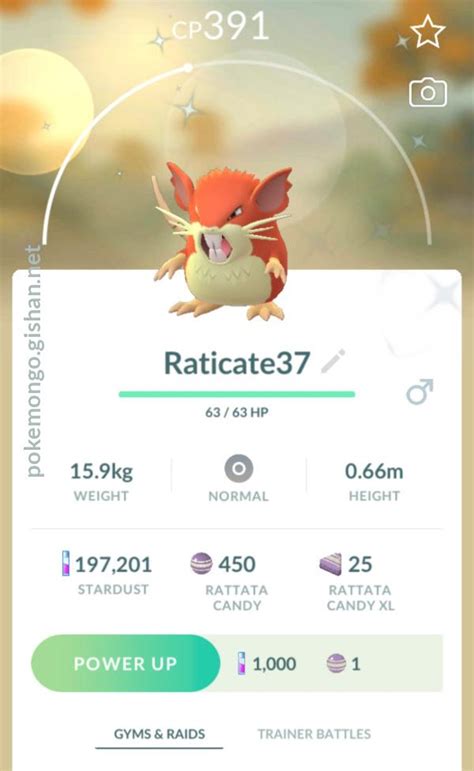 Shiny Raticate - Pokemon Go