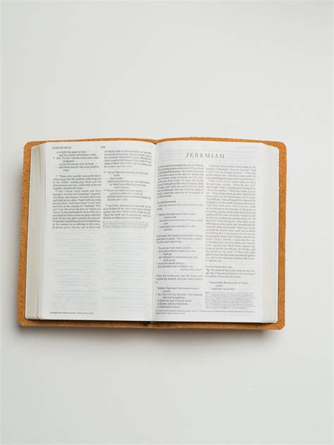 Scriptura Bibles — ESV Large Print Thinline Bible