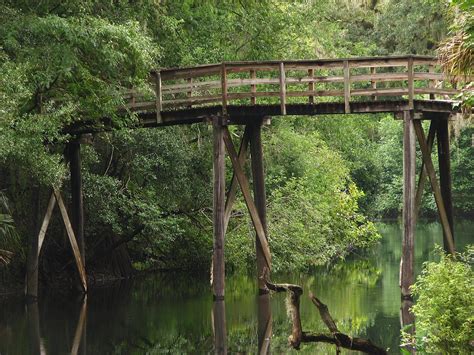 Hillsborough River State Park | Florida State Parks