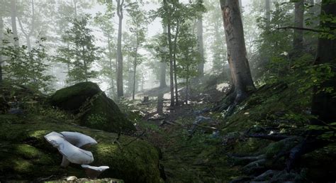 Forest - Environment Set in Environments - UE Marketplace