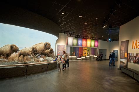 Manitoba Museum Welcome Gallery on Behance