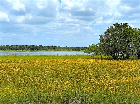 Get Lost in Nature at Myakka River State Park – All Around the Bend