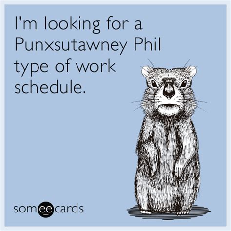 I'm looking for a Punxsutawney Phil type of work schedule. | Groundhog ...