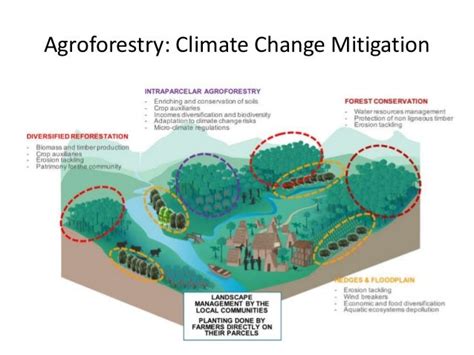 Agroforestry in India and Gujrat Model