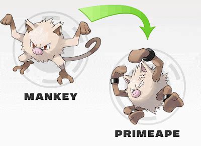 Pokemon Evolução: Evolução Mankey