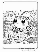 12 Lobster Coloring Pages  Free Printable 🦞 Animal sketch template