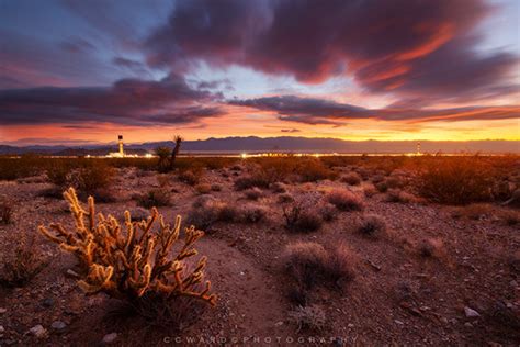 The Largest Solar Plant – Mojave Desert - Rubbish Begone