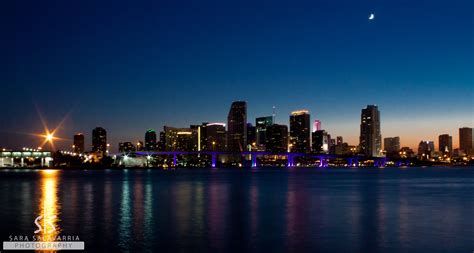 Miami Skyline Wallpaper - WallpaperSafari