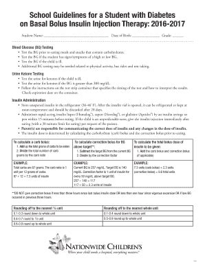 Fillable Online on Basal Bolus Injection Therapy: 2016-2017 Fax Email ...