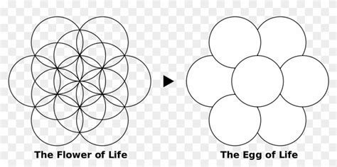 Egg Of Life - Meaning Flower Of Life Symbol, HD Png Download - 1280x591 ...