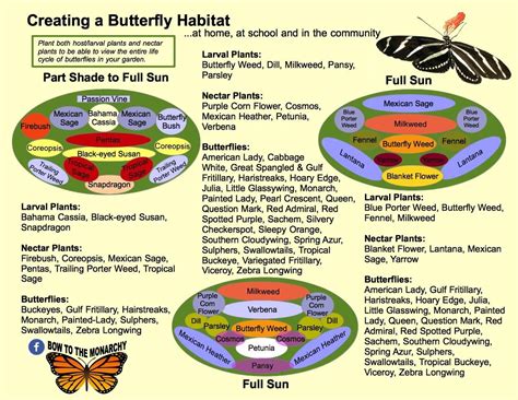 Budget DIY Landscaping Part Two | Butterfly garden design, Butterfly habitat, Butterfly garden