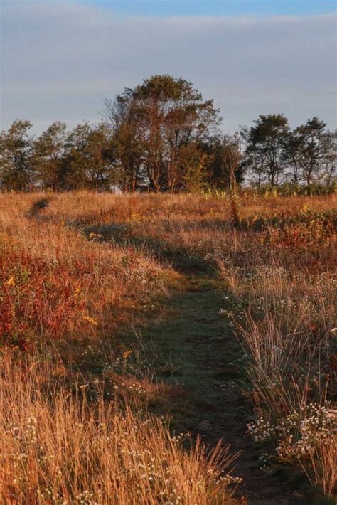 5 Short Fall Hikes in Shenandoah National Park - The National Parks Experience