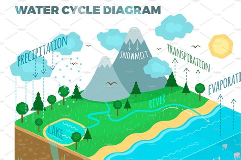 Get Free Printable Water Cycle Diagram Pics | Diagram Printabel