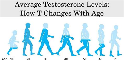 Normal Testosterone Levels by Age | Male and Female Charts | HFS Clinic [HGH & TRT]