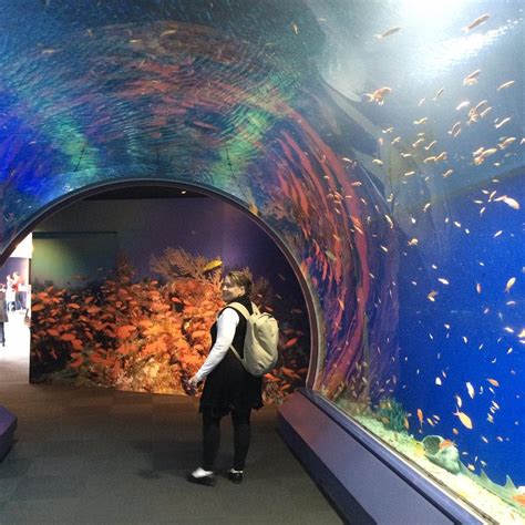 Osaka Aquarium Kaiyukan - All You Need to Know BEFORE You Go (2024)