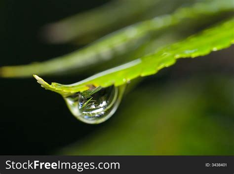 Raindrop Close-Up - Free Stock Images & Photos - 3438401 ...