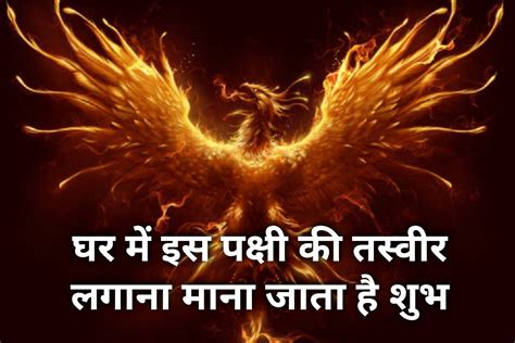 vastu shastra: keep phoenix bird picture in house for success and happiness | वास्तु: घर के ...