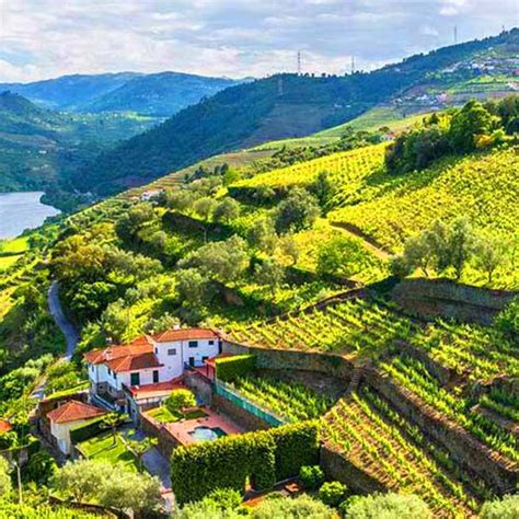 Wine Travel in Portugal - Premiere Tours