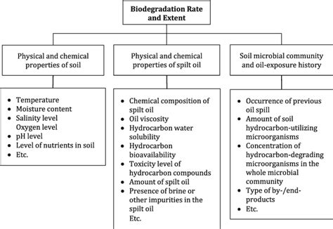 Influencing factors on the biodegradation process | Download Scientific Diagram