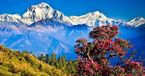 Dhulikhel Tours & Travel Information - Nepal - Asia Tours