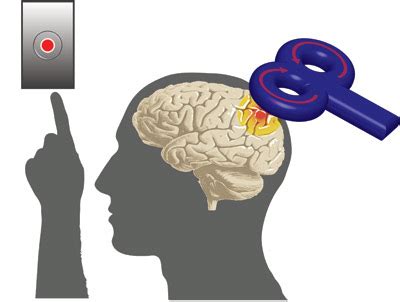 Right or left? Brain stimulation can change the hand you favor | Research UC Berkeley