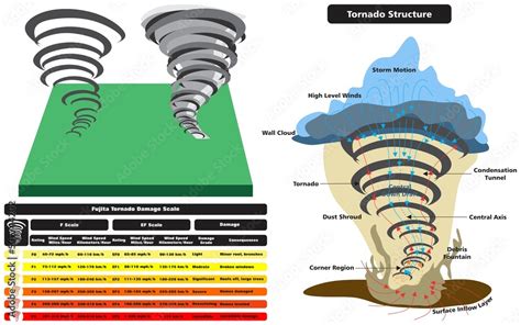 Tornado vector drawing scale and structure infographic diagram parts fujita damage rating spiral ...