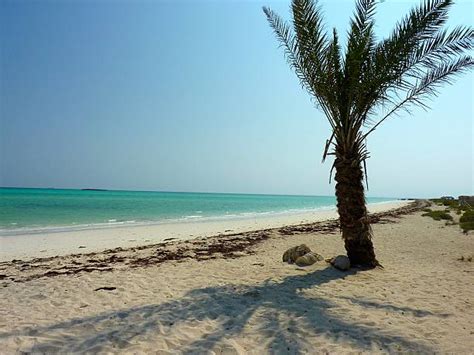 190+ Djibouti Beaches Stock Photos, Pictures & Royalty-Free Images - iStock