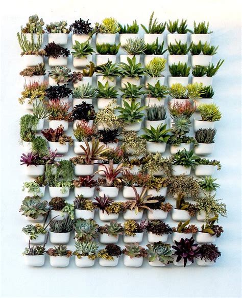 13 Outdoor Succulent Wall Garden Ideas - Dalla Vita | Succulent wall garden, Succulent wall ...