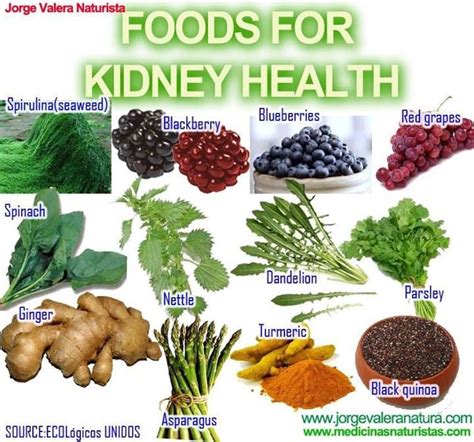 23 Best Foods For A Healthy Kidney That Everyone Should Eat | Food for ...