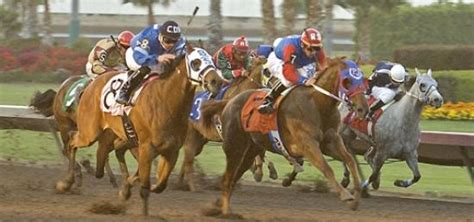 Los Alamitos Race Course | Los Alimitos Track Layout